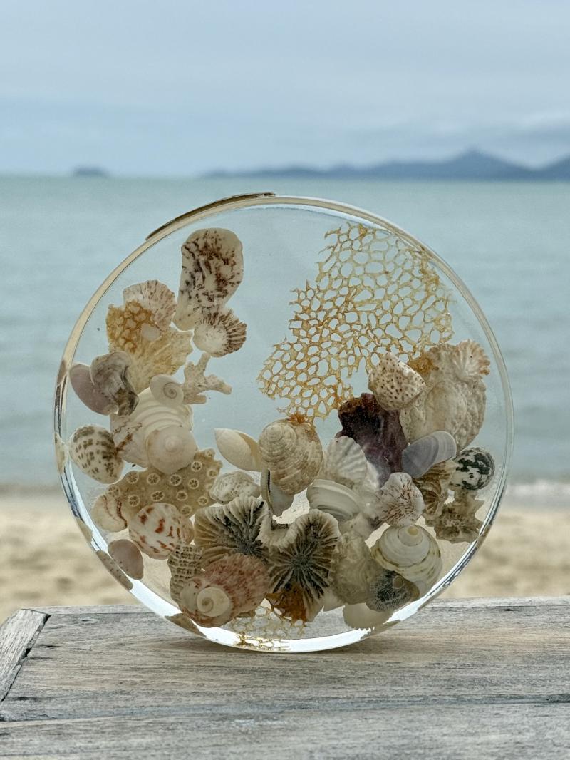 072 Epoxy Resin Tray — Shell Collection