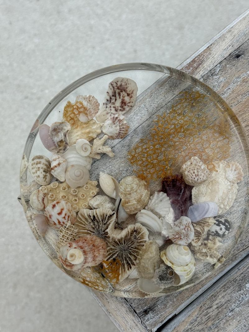 072 Epoxy Resin Tray — Shell Collection