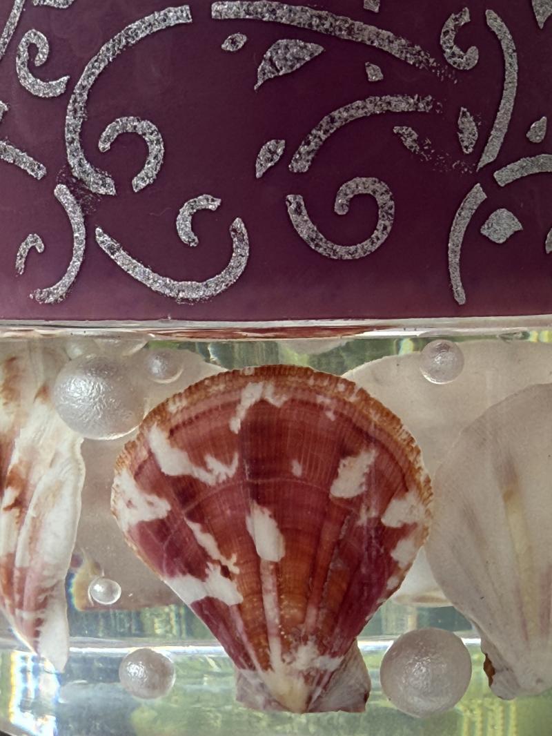 074 Tropical Shell Soy Candle with Epoxy Base – Raspberry & Pearl Edition